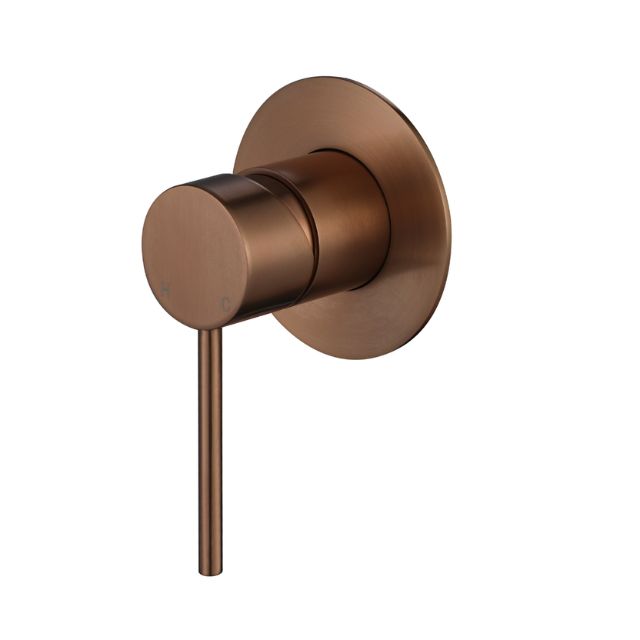 Modern National Star Mini Shower Mixer 80mm Champagne - Full Kit STRM008CM-KIT - The Blue Space