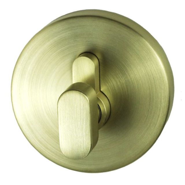 Nidus Spring Eurobolt Single Cylinder Satin Brass