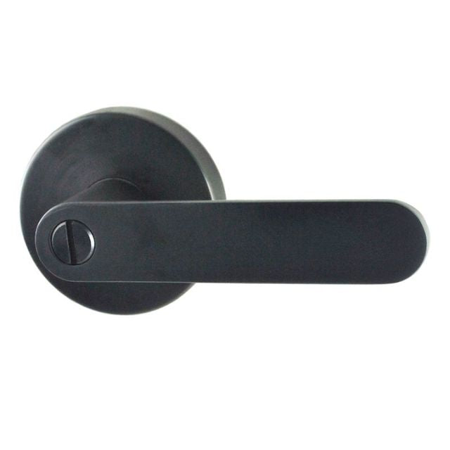 Outside Nidus Spring Privacy Lever Set With Latch Graphite Grey P-S-PRI-GG-V - The Blue Space