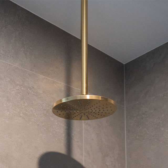 Phoenix Vivid Shower Rose 230mm Round - Brushed Gold