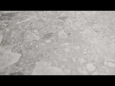 Southside Natural Terrazzo External Porcelain Tile P5 600mm x 600mm