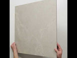 Auralis Taupe P5 External Porcelain Tile 600 x 600mm