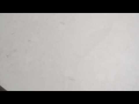 Southside White Terrazzo Matte Porcelain Tile P3 600mm x 600mm