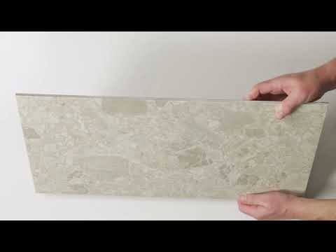 Southside Beige Terrazzo Matte P4 Porcelain Tile 300 x 600mm