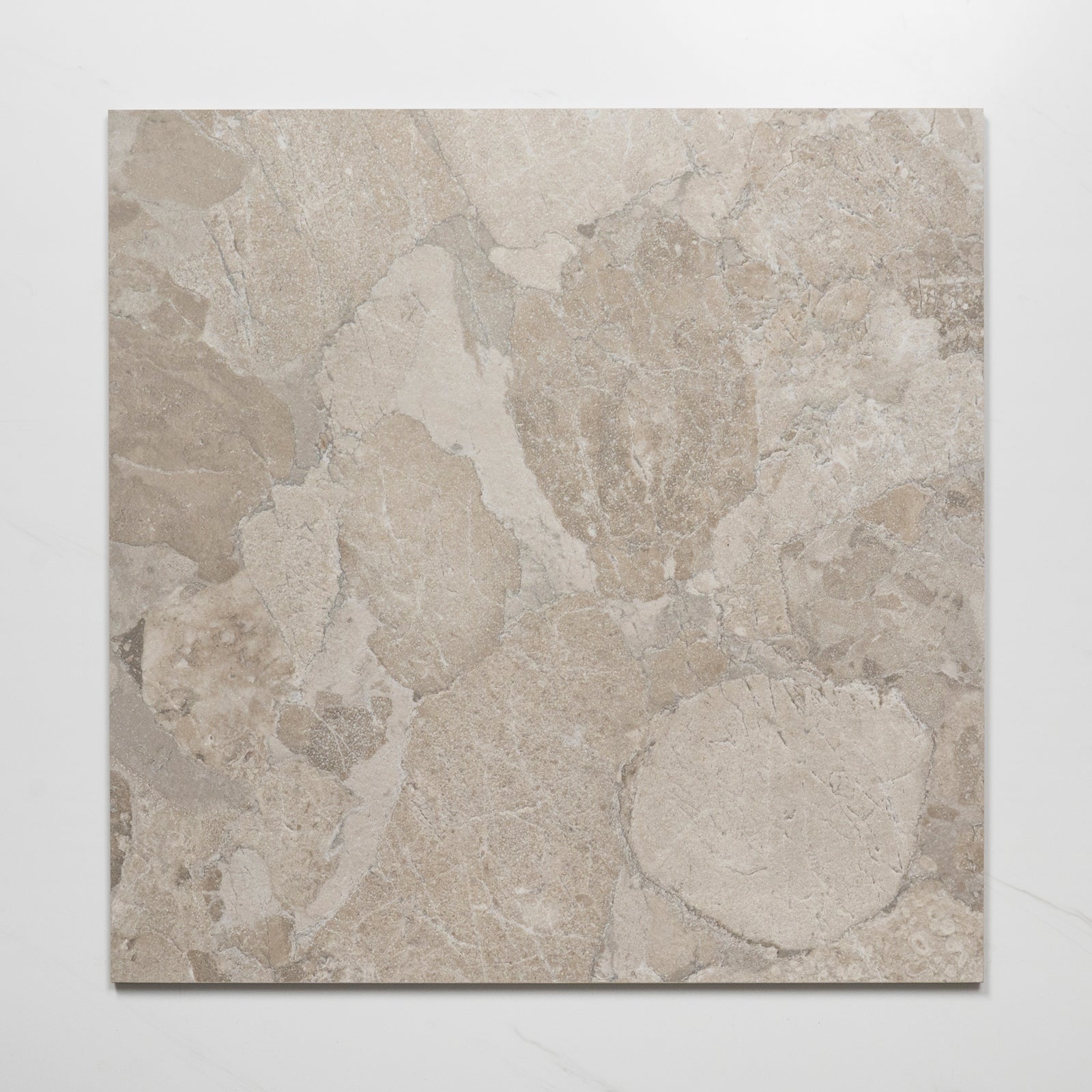Faces Roccia Greige Lappato Porcelain Tile P4 600 x 600mm MATSGRN1 - The Blue Space