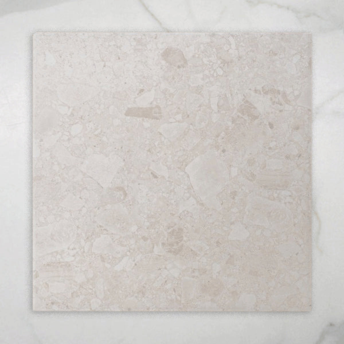 Southside White Terrazzo Matt P2 Porcelain Tile 450x450mm