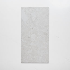 Southside White Terrazzo Matte Porcelain Tile P4 300mm x 600mm