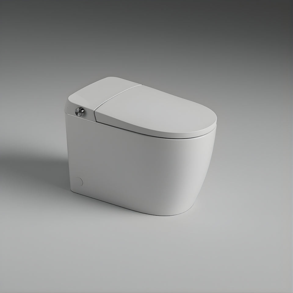 St George Brighton Smart Toilet (Intelligent Bidet Toilet) - Gloss White