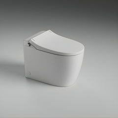 St George Byron Smart Toilet (Intelligent Bidet Toilet) - Gloss White