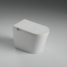 St George Coogee Smart Toilet (Intelligent Bidet Toilet) ST-ZTT-450 - The Blue Space