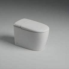 St George Mosman Smart Toilet (Intelligent Bidet Toilet) ST-ZTT-500 - The Blue Space