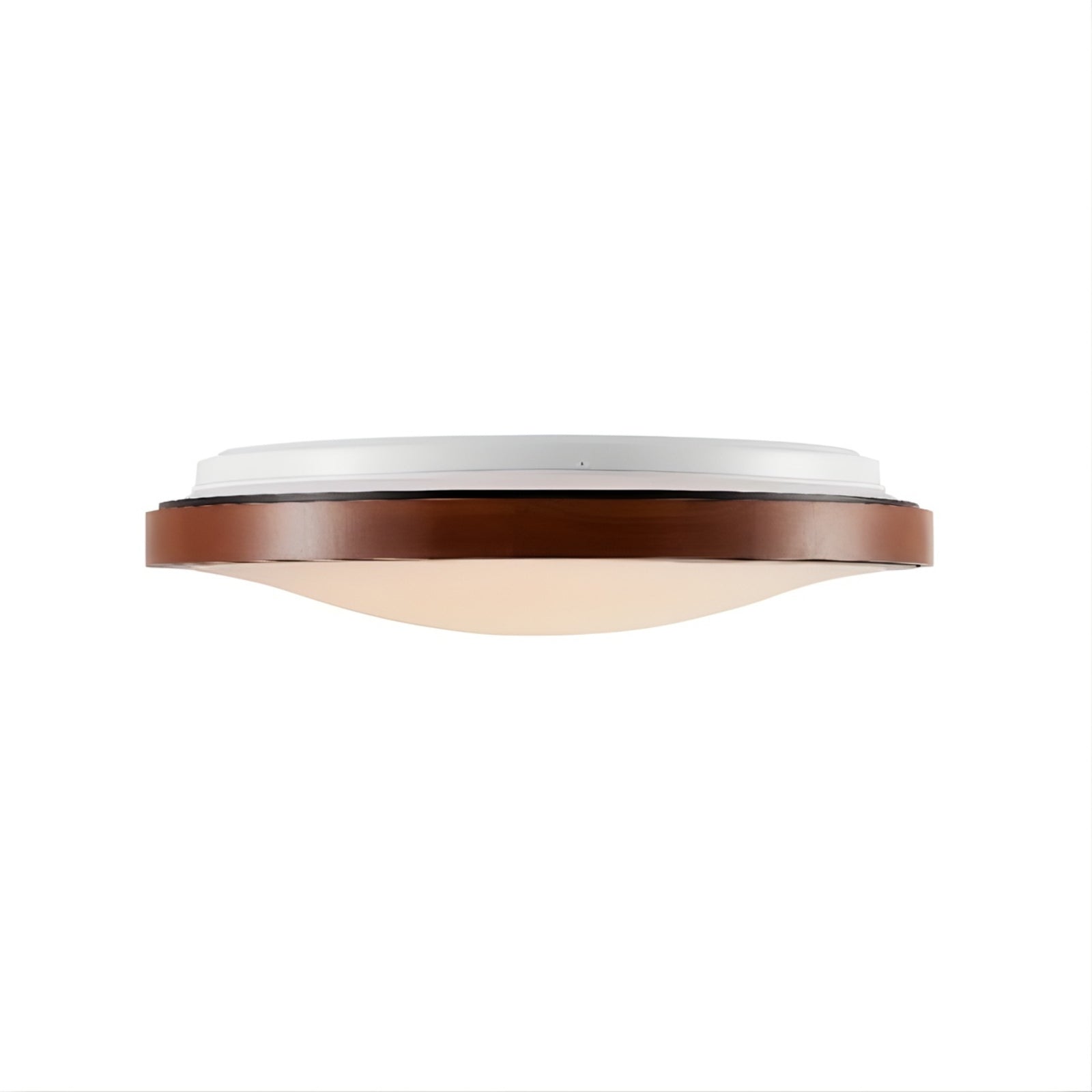 Side Telbix Orlin 12W Led Oyster Walnut ORLINOY30-WD3C - The Blue Space