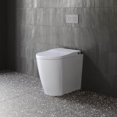 Caroma Urbane II Invisi Series II Wall Faced Bidet Suite