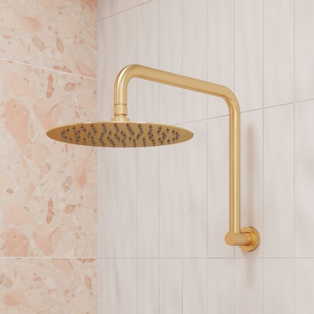 Fienza Kaya Gooseneck Shower Arm Set Urban Brass