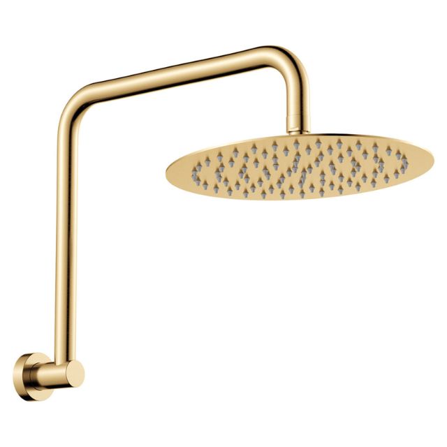 Fienza Kaya Gooseneck Shower Arm Set Urban Brass