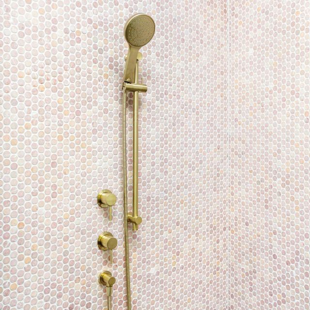Fienza Kaya Rail Shower Urban Brass