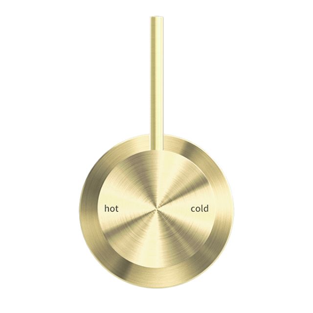 Nero Mecca Shower Mixer 60mm Handle Up Plate Brushed Gold