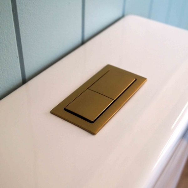 Turner Hastings Rectangle Brushed Brass Flush Button on Back To Wall Toilet