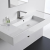 Wall Hung Basins