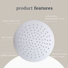 Indigo Ciara Shower Head 250mm Chrome product features | The Blue Space