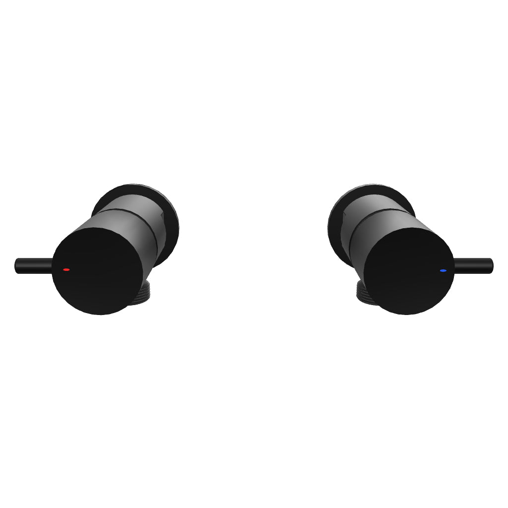 Caroma Luna Lever Washing Machine Tap Set Black 3D Model - The Blue Space