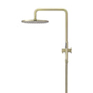 Meir Round Combination Shower Rail 300mm Rose & Hand Shower - Tiger Bronze - Brushed Gold at The Blue Space