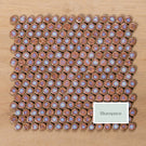 Mooloolaba Gloss Coral Porcelain Penny Round Mosaic Tile 20x20mm - The Blue Space