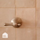 Phoenix Nostalgia Lever Shower Set Brushed Nickel online at The Blue Space Real Reno