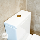 Caroma Urbane II Cistern Flush Button Brushed Brass - The Blue Space Real Reno