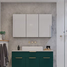 Timberline Tennessee 1200mm Shaving Cabinet with green vanity and gold tapware and accents at The Blue Space