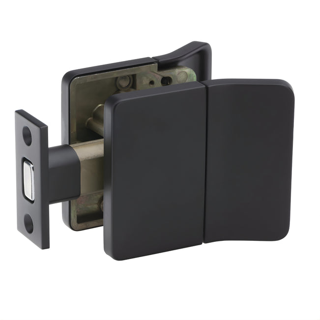 Lane PIVYT" Passage Lever Set Matte Black L527607 - The Blue Space