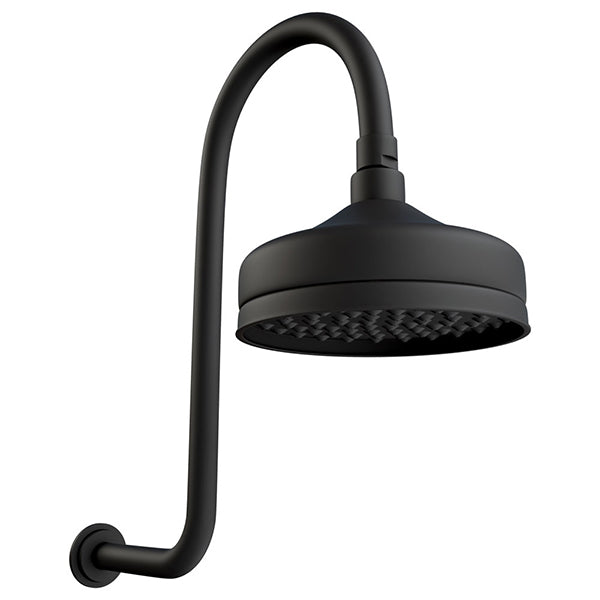 Fienza Lillian Wall Arm Shower Set - Matte Black - The Blue Space