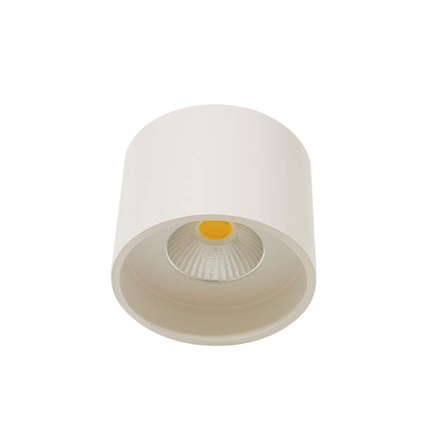 Telbix Keon 20W LED Ceiling Light - Warm White - White | The Blue Space