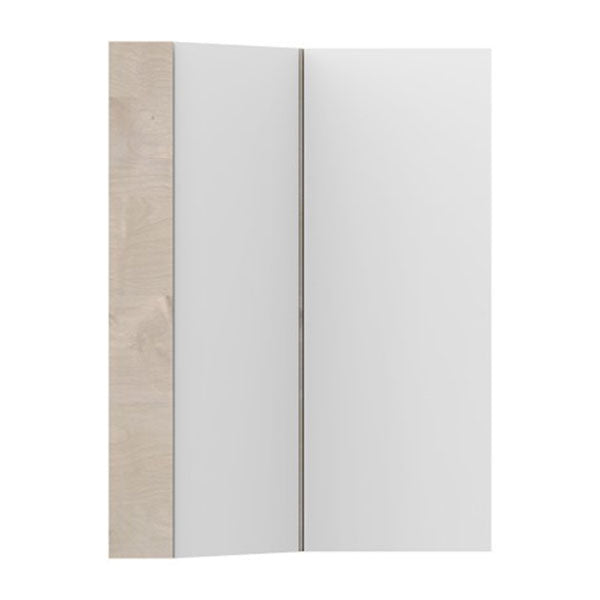 ADP Offset Corner Mirror Shaving Cabinet 2 Door 600mm - The Blue Space