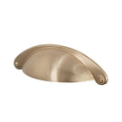ADP Seashell Standard Handle Brushed Brass - The Blue Space