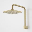 Caroma Luna Fixed Overhead Shower Brushed Brass - The Blue Space