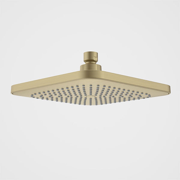 Caroma Luna Overhead Shower Head Brushed Brass - The Blue Space