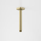 Caroma Luna Straight Arm 210mm Brushed Brass - The Blue Space