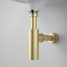 Caroma Urbane II 40mm Bottle Trap Brushed Brass - The Blue Space
