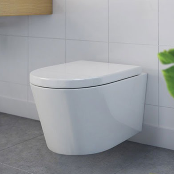 Decina Renee Rimless Wall Hung Toilet Suite with Buttons Lifestlye Image - The Blue Space
