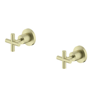 Nero X Plus Wall Top Assemblies Brushed Gold