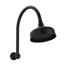Phoenix Cromford Shower Arm and Rose Matte Black - The Blue Space