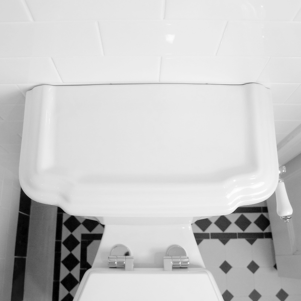 Turner Hastings Birmingham Close Coupled Toilet at The Blue Space