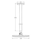 Technical Drawing - Sussex Voda Vertical 300mm Shower Arm with Head 50mm